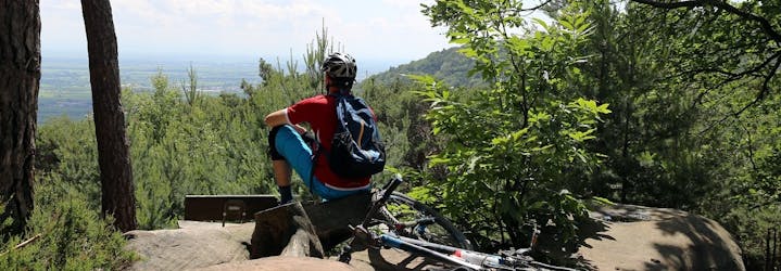 Aluguer diário de bicicletas de montanha nas Montanhas Ore
